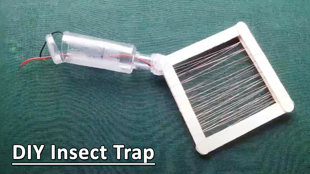 How To Make An Insect Trap Diy Project
