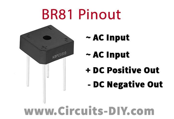 BR81 Pinout